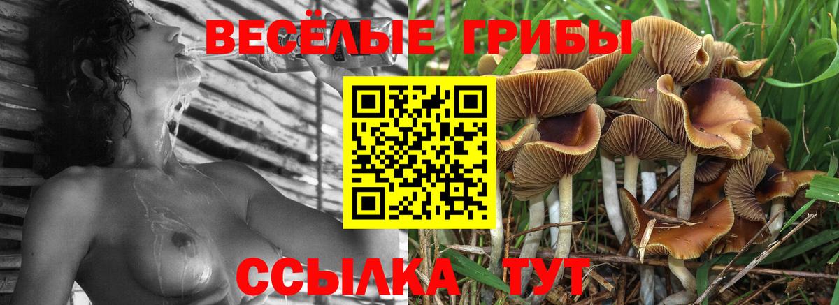 Галлюциногенные грибы ЛСД Шатура
