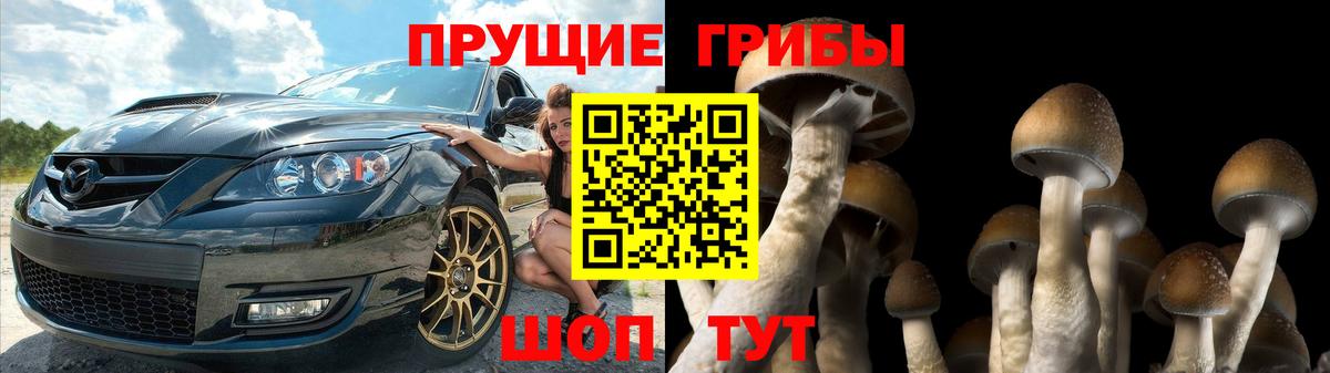 Псилоцибиновые грибы мухоморы  Вход с VPN  Шатура 
